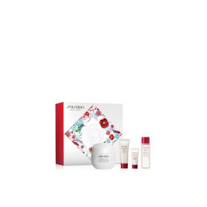 shiseido essential energy set